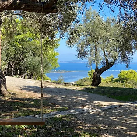 Olive Grove - Excellent View * Frinion