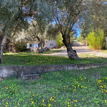 Olive Grove - Excellent View Frínion