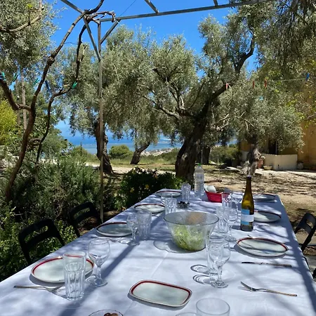 Casa vacanze Olive Grove - Excellent View *