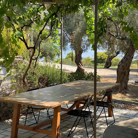 Olive Grove - Excellent View Дом отдыха *