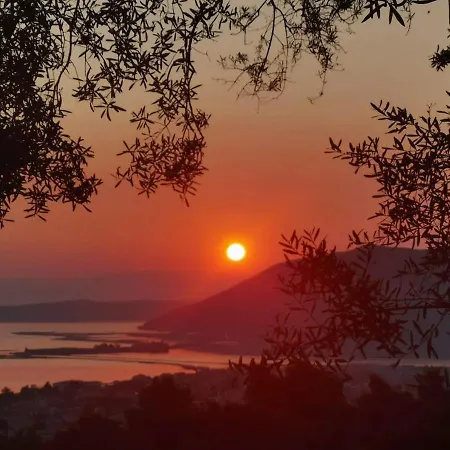 Olive Grove - Excellent View * Frinion