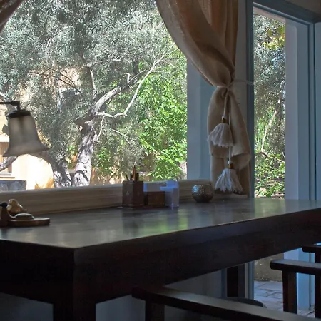 Olive Grove - Excellent View