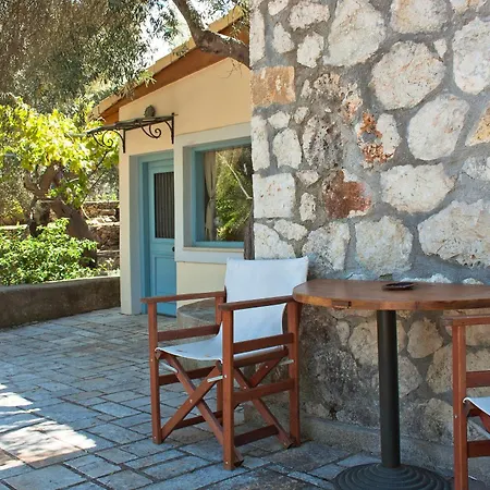 Olive Grove - Excellent View *