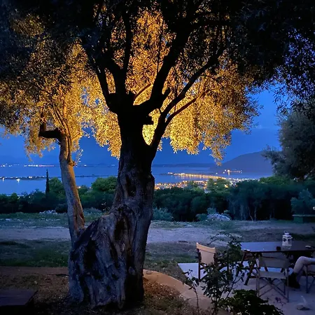 Olive Grove - Excellent View Сasa de vacaciones