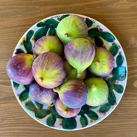 Olive Grove - Excellent View Сasa de vacaciones *