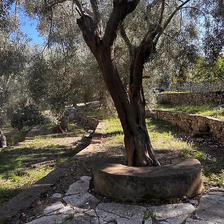 Сasa de vacaciones Olive Grove - Excellent View *