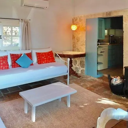 Olive Grove - Excellent View