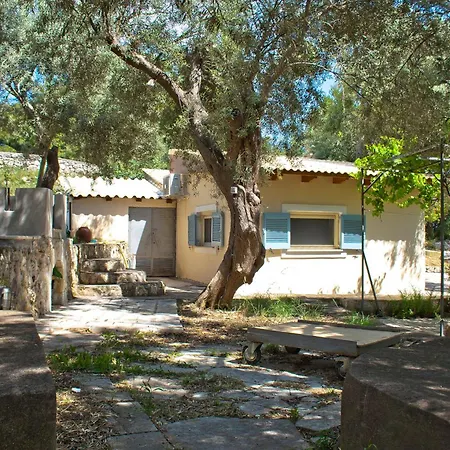 Olive Grove - Excellent View *