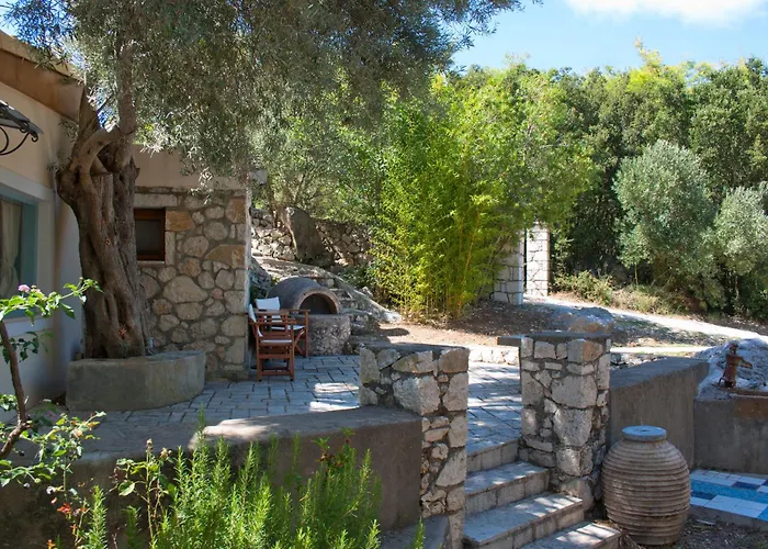 Olive Grove - Excellent View *