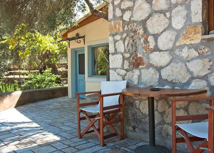 Olive Grove - Excellent View *